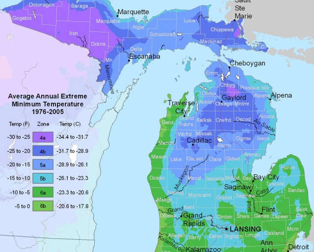 When, What, & Where to Plant