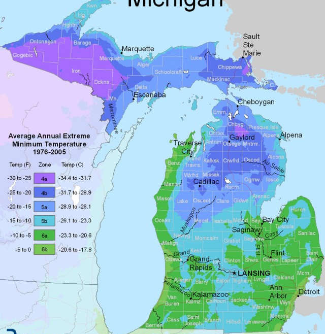 When, What, & Where to Plant